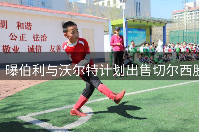 曝伯利与沃尔特计划出售切尔西股份 俱乐部估值50亿镑